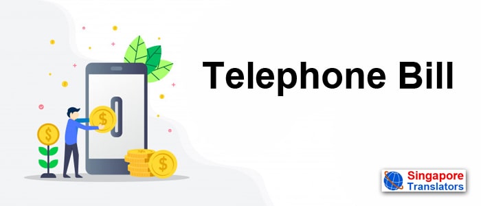 Telephone Bill language translaation