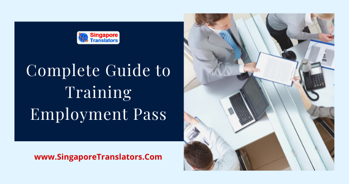 Complete Guide to Training Employment Pass