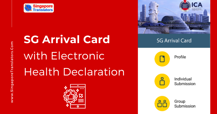 sg travel card