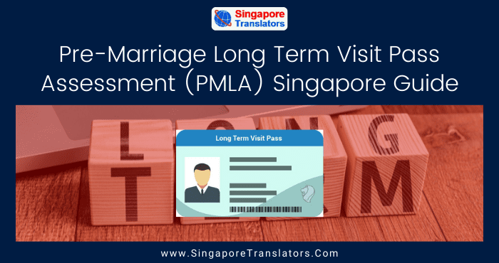 long term visit pass singapore girlfriend