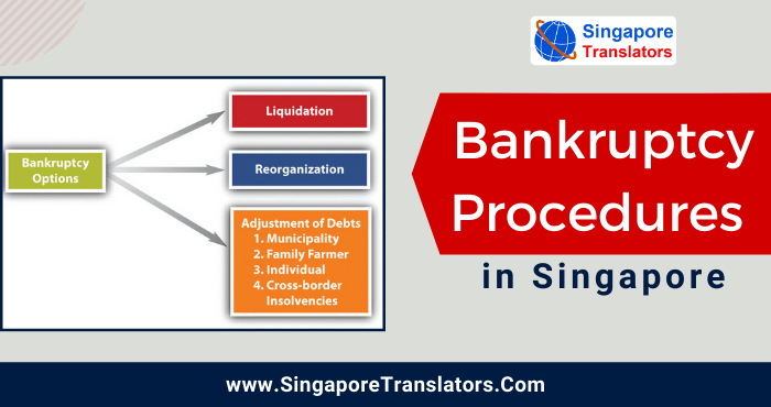 Bankruptcy Procedures in Singapore