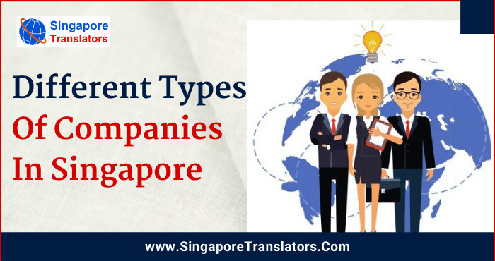 Different Types Of Companies In Singapore